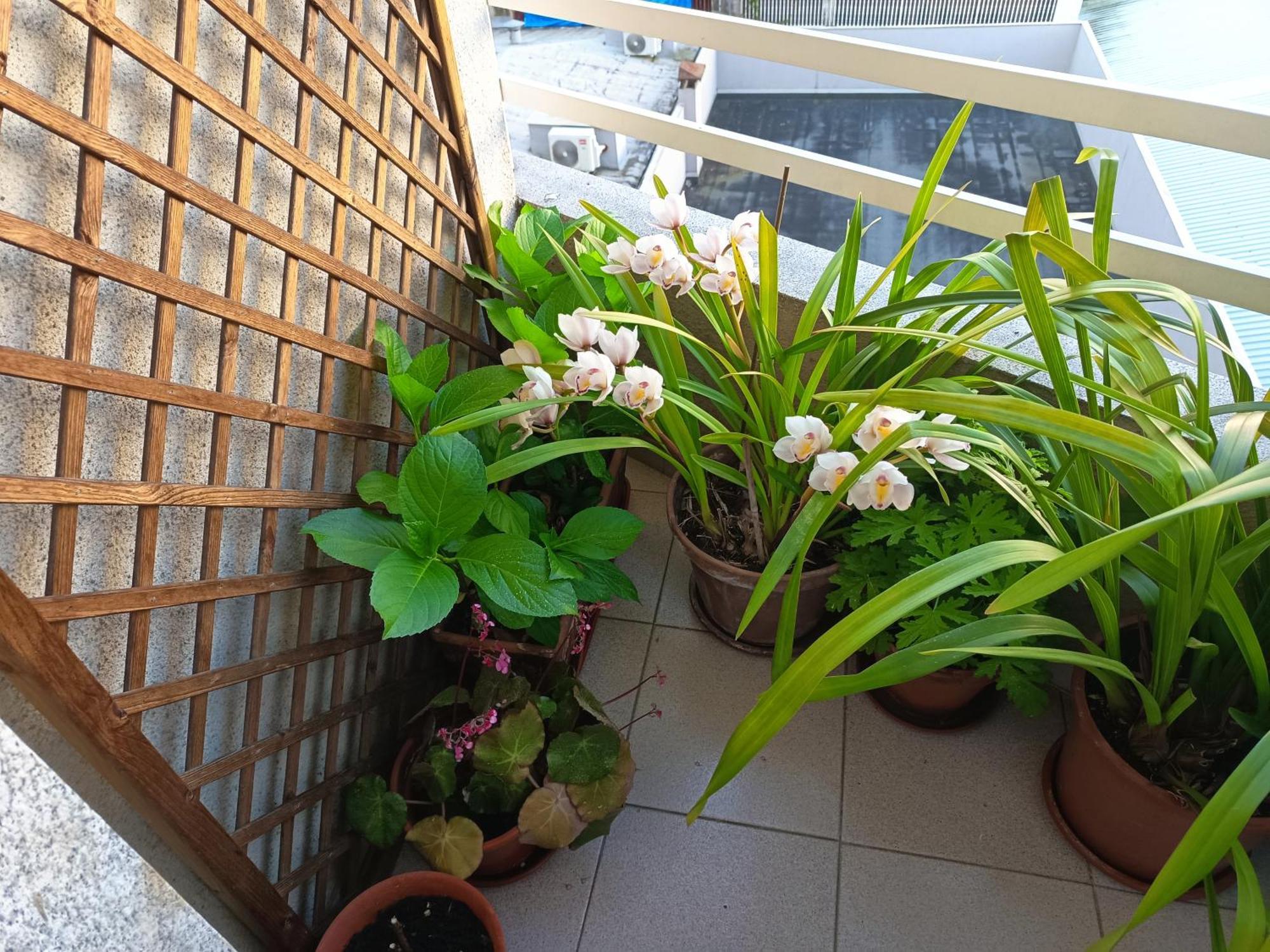 Vivienda Caseiro โอว์เรนเซ ภายนอก รูปภาพ