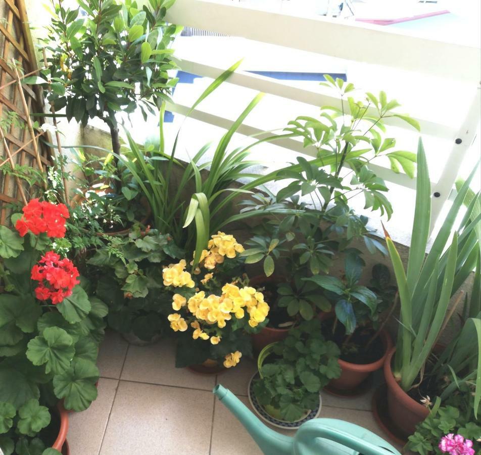 Vivienda Caseiro โอว์เรนเซ ภายนอก รูปภาพ